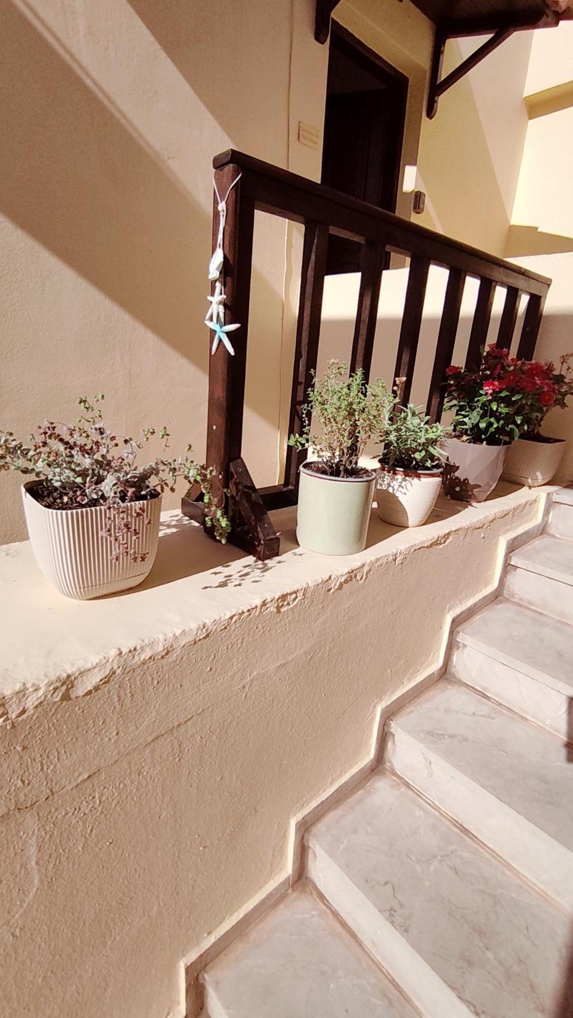 Dedalos N3 Sea View Apartment-30 Metres From The Beach Stalida Exterior foto